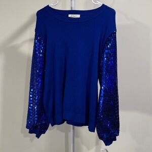 Sioni Vibrant Blue Sweater with Sequin Sleeves